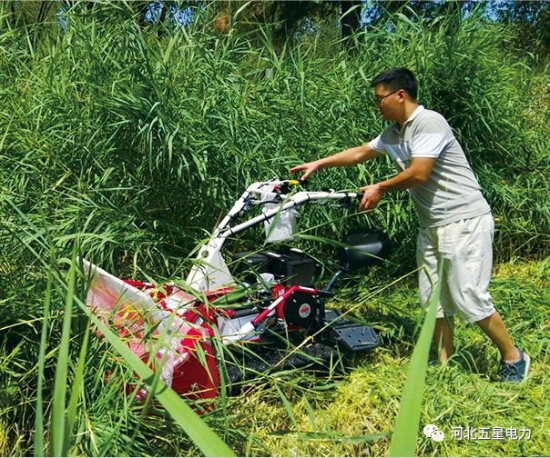 瓦爾特·御虹”WX-800型履帶自行走式堤防割草機